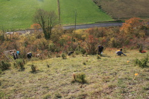 CourquinIMG_12