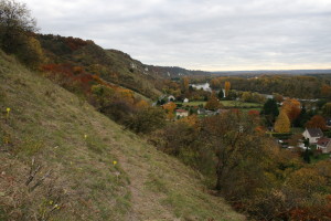CourquinIMG_13