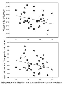 Figure 4. Relation entre la vitesse de découpe et la préférence pour une mandibule (gauche ou droite) comme couteau), et relation entre l’efficacité de découpe et la préférence.