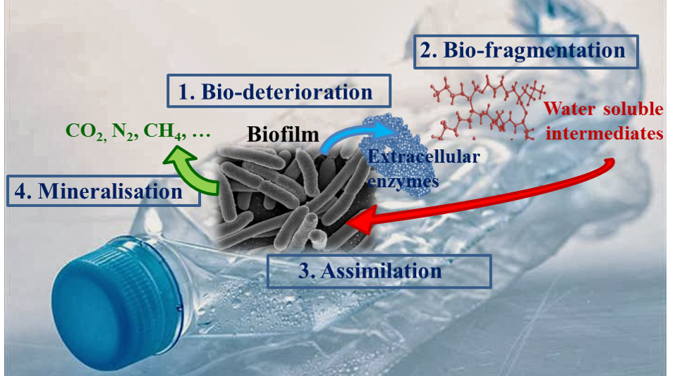 R63 La dégradation des plastiques en mer, par C. Dussud et J-F. Ghiglione