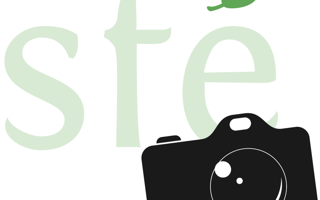 Concours Photos SFE 2016