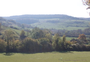 (c) Anne Teyssèdre