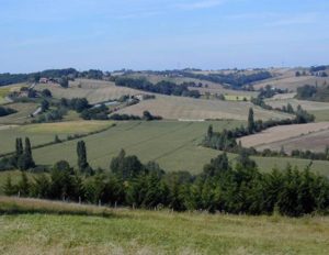 Paysage typique des coteaux du Sud-ouest de la France
