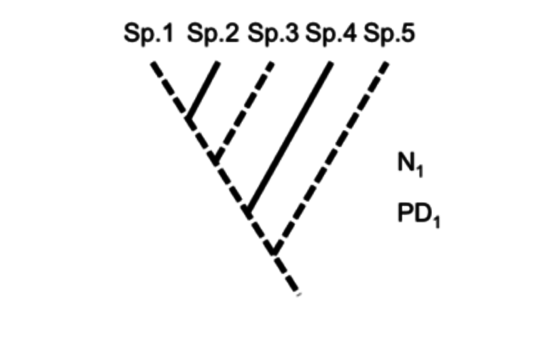 R73 Regard De La Systématique Sur La Biodiversité Par - 