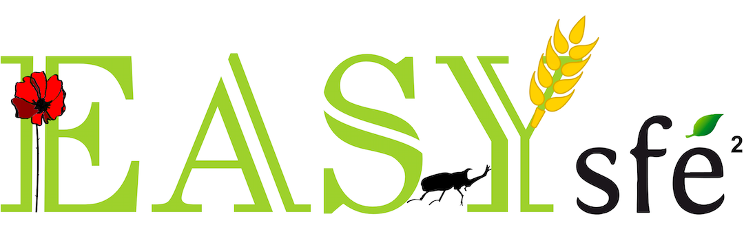 Colloque EASYs – Nice, 25-27 Novembre 2019