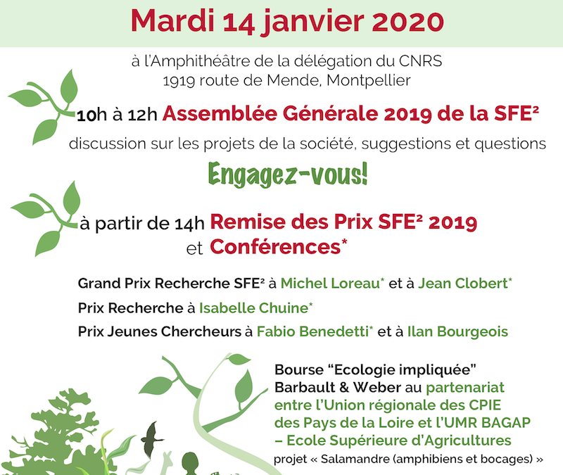 Retour sur l’AG SFE² 2020 en images