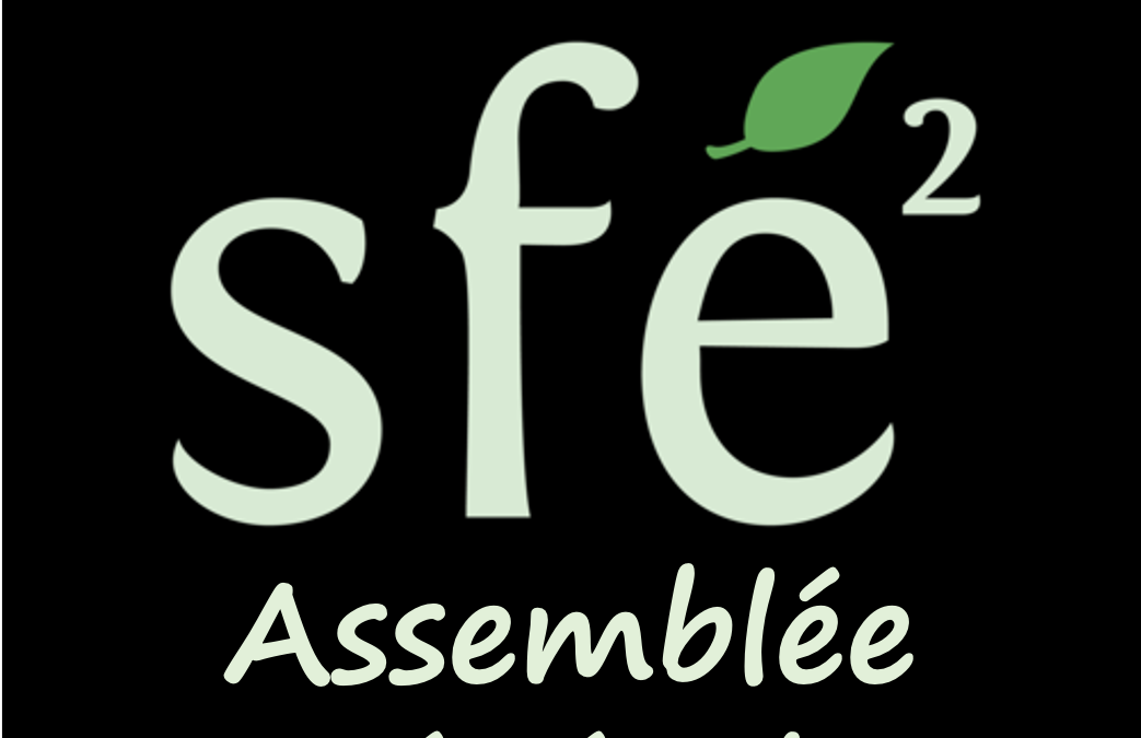 Assemblée Générale 2021 – 26 Janvier- 10h-12h : le lien