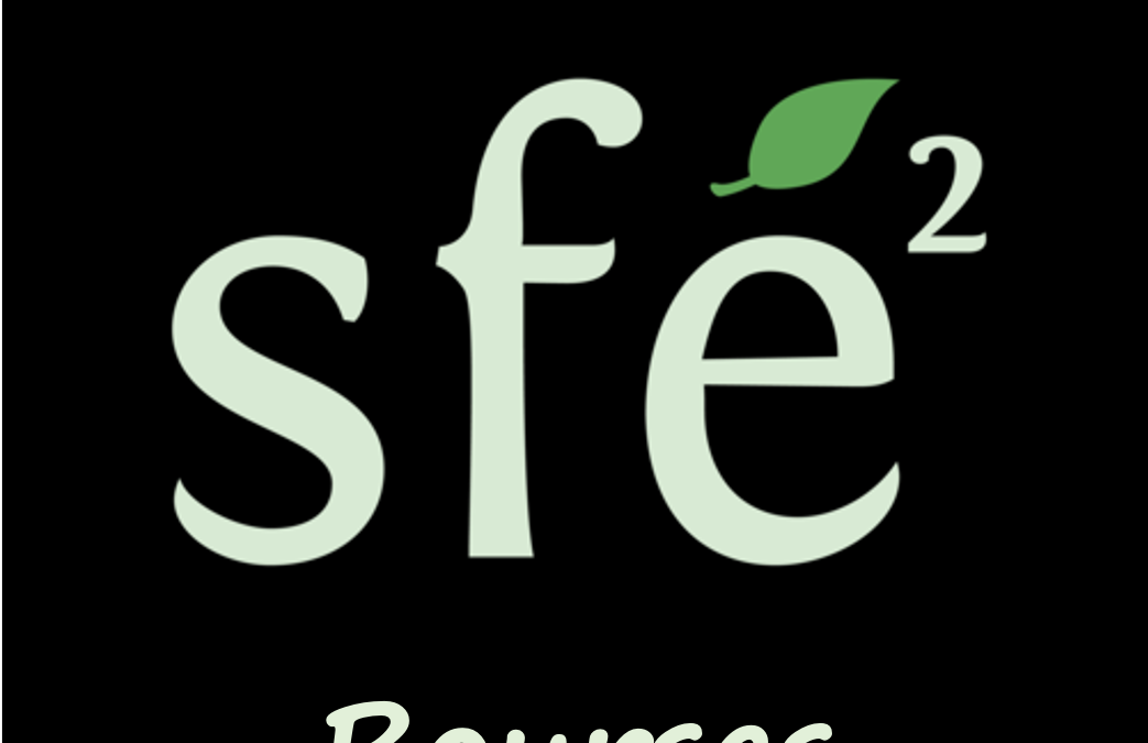 Bourses SFE² : appel à candidatures prolongé