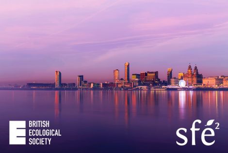 BES-SFE² Meeting, Dec. 2021 – Call for thematic sessions and workshops